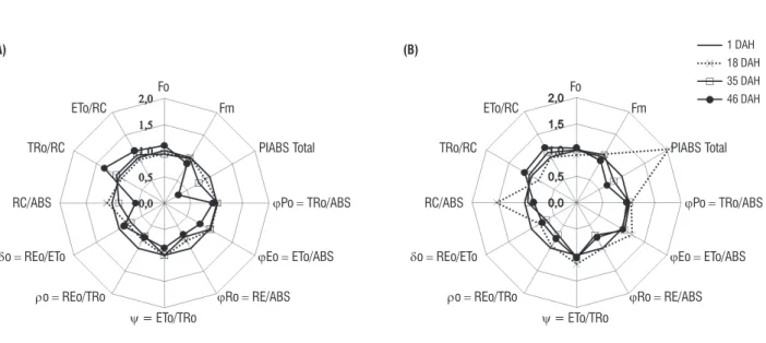 figure 2. Influence of leaf senescence on several selected functional and structural JIP-test parameters plotted (radarplot center = 0.0, maximum = 2.0) relative  to  their  respective  controls  (set  as  reference  dashed  circle  =  1.0)  during  flag  