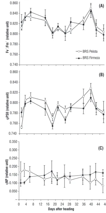 figure  3.  Effective  efficiency  of  PSII  photochemistry,  when  PSII  reaction  centers  were  open  (F v ’ /F m ’ )  (A),  actual  PSII  efficiency  (φ PSII )  (B),  and   non-photochemical quenching coefficient (qNP) (C) during flag leaf senescence  