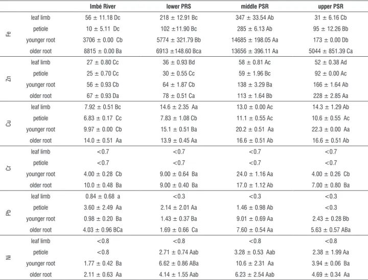 table 3. Photosynthetic pigments (nmol.cm -2 ) and nonphotochemical quenchings in water hyacinth from Imbé river, lower, middle and upper PSR