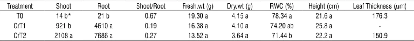 table 2. averaged cr accumulation in shoot and root (in mg kg -1  dry weight), shoot/root ratio, fresh weight, dry weight, relative water content (rWc), height and  cellular width of leaves of plants treated with cr (n=5) at the end of the experiment.