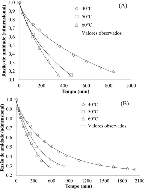 FIGURA 2.  Correspondência  entre  os  valores  observados  e  os  estimados  pelo  modelo  de         Midilli para a secagem de grãos de sorgo BRS 308 (A) e NIDERA A 9721 (B)