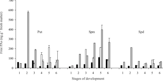 Figure 2.  Free PAs content (ng.g -1  fresh matter) in different tissues and stages of seed development in Araucaria angustifolia.