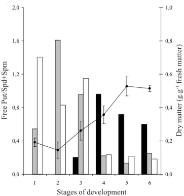 Figure 3. Dry matter and free Put/Spd+Spm ratio in different tissues and stages of seed development in Araucaria angustifolia