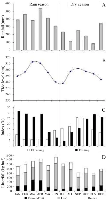 Figure 2. Rainfall and tidel level in comparison with seasonal patterns of phenology (flowering and fruiting) and litterfall (flower and fruit, leaf, and branch), in the year of 1989, in a tidal floodplain forest on Combu island, Pará, Brazil.