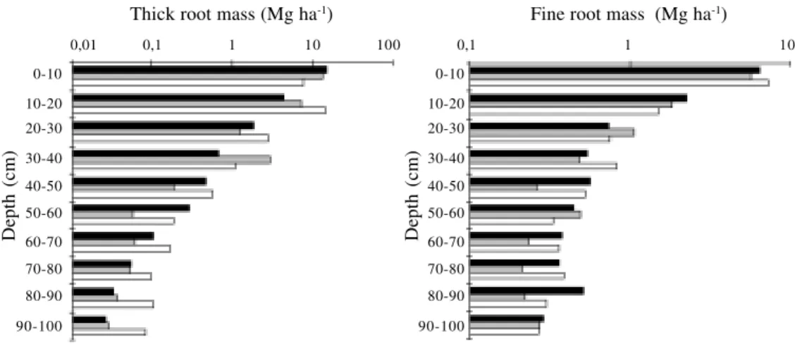 Figure 3. Distribution of thick and fine root mass on topographically high (  ), intermediate (  ), and low (  ) sites on Combu island, Pará, Brazil.