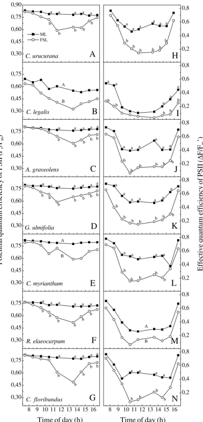 Figure 3. Daily course of potential (A-G) and effective (H-N) quantum efficiency of photosystem II (PSII) in seven tropical tree species of different successional status at medium (ML, closed squares) and high (FSL, open circles) irradiance conditions.