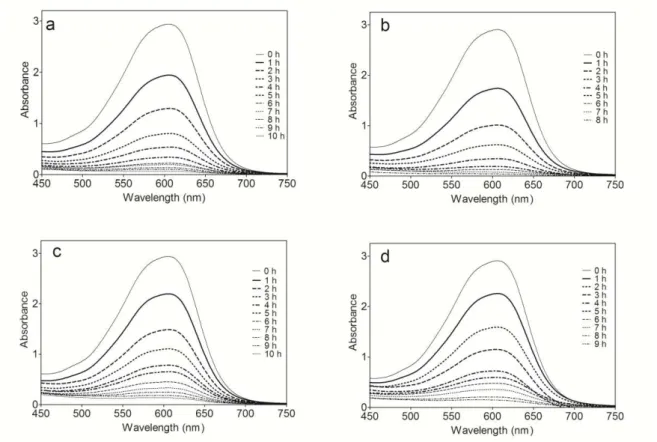 Figure  3.5. Evolution  with time of absorbance band  for NB employing  SFC Ti/Pt : a 30  mA cm −2 ;  b 60 