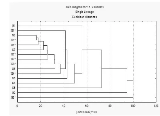 FIGURE 4. Dendrogram of genotypes classification. The asterisks mark the infested genotypes.
