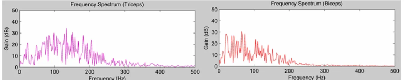 Fig. 10  Frequency spectrum for the triceps and biceps. 