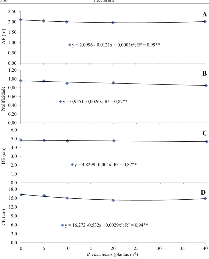 Figura 1. Altura de plantas (A), índice de prolificidade (B), diâmetro de espiga (C) e comprimento de espiga  (D) de duas populações de milho (5,1 e 6,2 plantas m -2 ) cultivadas no sistema de consórcio com diferentes  po-pulações de Brachiaria ruziziensis