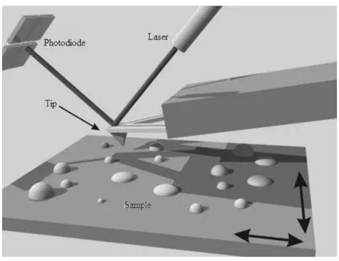 Figure 1 shows  a schematic representation of one of the main  components  of an  atomic  force microscope