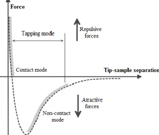 Figure 2 – Expected behavior of the idealized forces between tip and sample according to their separation