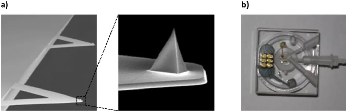 Figure 3 – Triangular cantilevers used throughout this thesis for imaging in liquids with a detail of the tip  (a) and the liquid cell used for experiments carried out with the sample immerse in buffer (b)