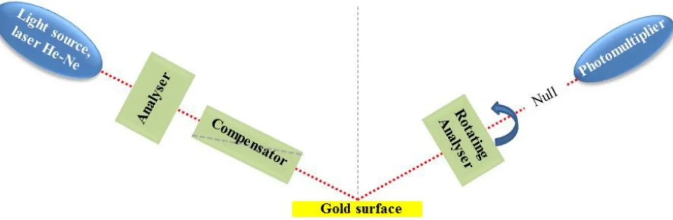 Figure 6 – Schematic representation of a rotating analyser ellipsometer. See text for details