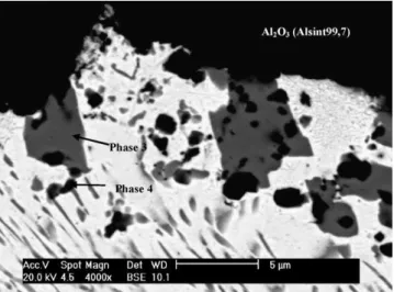 Fig. 7. Precipitation zone of Fe–Ni–Co/Al 2 O 3 joint brazed at 990 ◦ C.