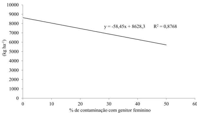 FIGURA 1. Equação de regressão linear entre a variável dependente (Y) produtividade de grãos (kg ha -1 ) e a  variável independente (X) porcentagem de contaminação com o genitor feminino