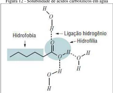 Figura 12 - Solubilidade de ácidos carboxílicos em água 