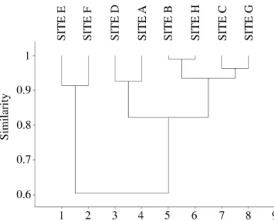 Fig.  3.  Dendogram  showing  the  similarity  relationships  between the studied assemblies.