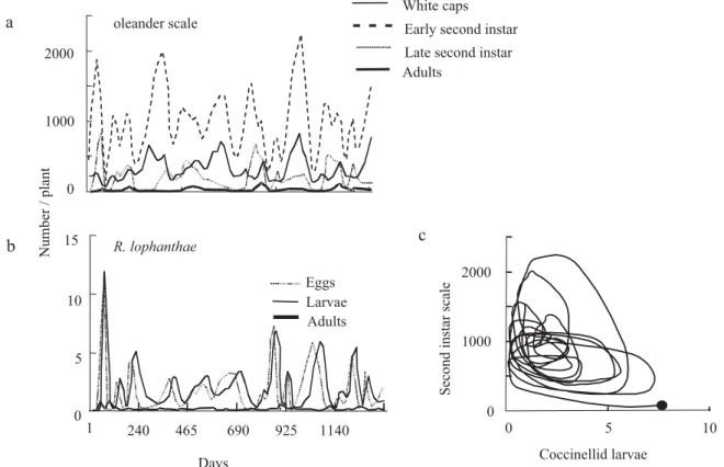 Fig. 6. The simulated population dynamics of (a) the oleander scale, (b) the coccinellid predator R