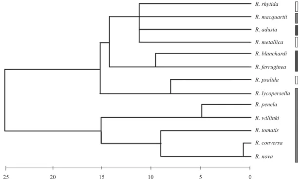 Fig. 8. Dendrogram of Rhagoletis species with a South American distribution on the basis of similarity of geographical ranges  (biogeogram)