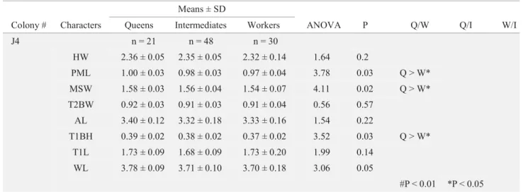 Table 3. Discriminant morphometric variables between queens and workers in A. pallens.