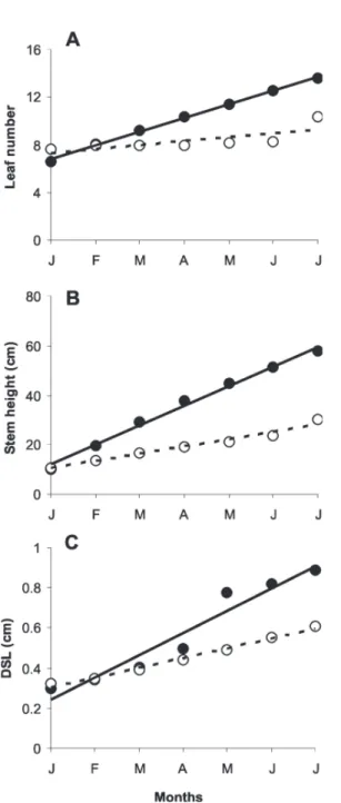 Figure 5. Relationships between monthly increase of leaf number (A), stem height (B), and stem diameter increments at soil surface level  DSL (C) in one-year-old saplings of C