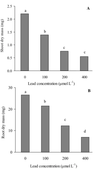 Figure 4. Lead concentration of the nutrient solution (A), as well as of shoots (B) and roots (C), after growing of castor bean (Ricinus communis L.) plants for 40 d in hydroponics with different concentrations of lead