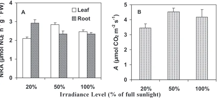 Figure 7.  Influence of irradiance level on the nitrate reductase activity (NRA) partitioning between leaves and roots (A) and rate of net carbon assimilation (A) (B) in coffee plants grown under 20%, 50% and 100% of full sunlight.
