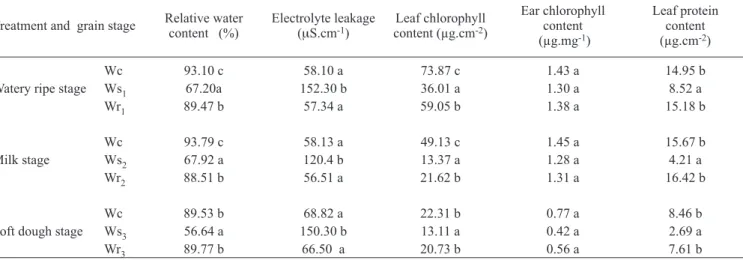 Table 1. Relative water content, electrolyte leakage, chlorophyll and protein content in flag leaves and ears (glumes and awns)  of wheat plants submitted to water stress and rewatering at watery ripe, milk or soft dough stage