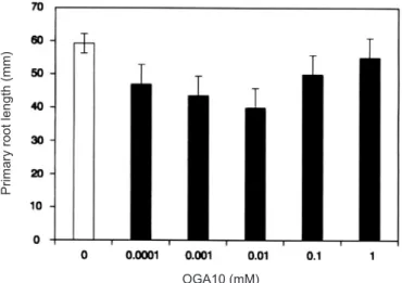 Figure  3.  Dose  response  of  primary  root  to  OGA 10 .  Root  length was measured in germinated bean seeds after growing  in nutrient solution for 3 days in presence of OGA 10  at the  indicated concentration.