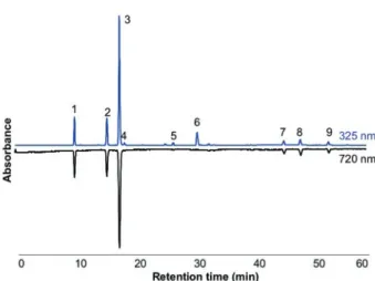 Figure 3. On-line  HPLC-ABTS +   analysis  of  coffee  prepared from unroasted beans. Ten μL of coffee were  analysed  by  gradient  reverse  phase  HPLC  with  PDA  detection  at  325  nm  (positive  trace)  prior  to  mixing  of column eluate with ABTS +