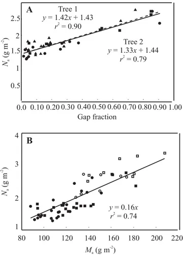 Figure 1. Relationships between leaf nitrogen concentration per unit leaf area (N a ) and either (A) the gap fraction for leaves in the crowns of 3-yr-old trees [measurements were performed on leaves less than  2-month-old (z), 8-2-month-old (), 12- to 14