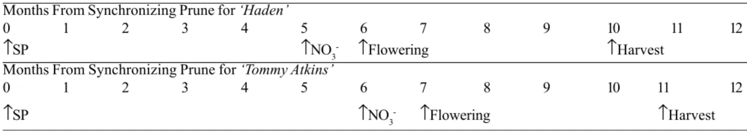 Table 1. Mango flowering program without use of paclobutrazol or uniconazole for early floral stimulation of an easily induced cultivar (Haden) and a more difficult cultivar (Tommy Atkins)