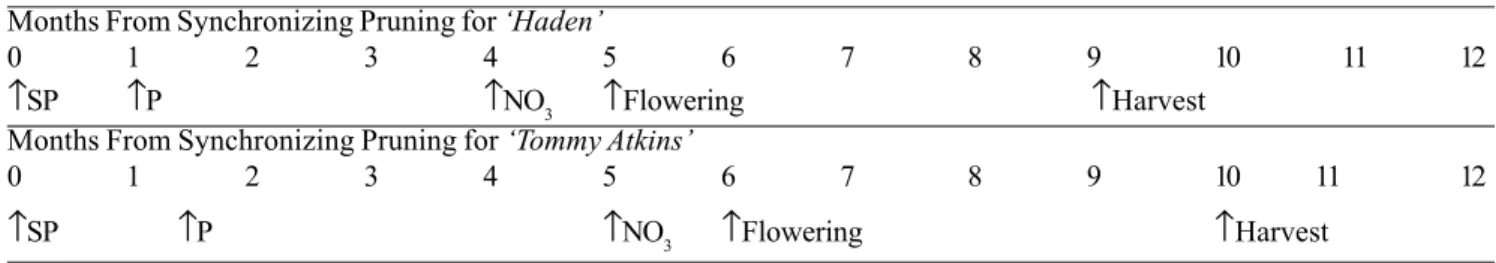 Table 2. Mango flowering program using paclobutrazol or uniconazole (P) for early flowering of an easily induced cultivar (Haden) and a more difficult-to-induce cultivar (Tommy Atkins)