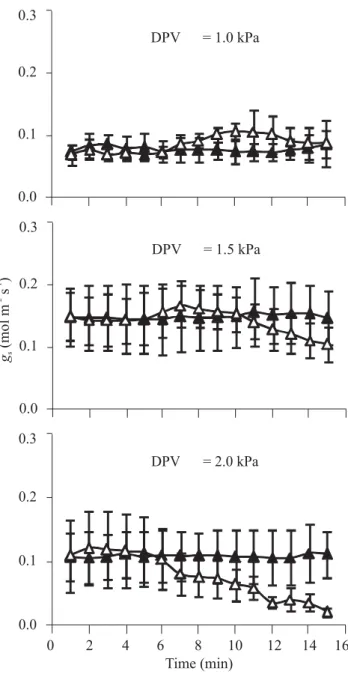 Figure 3. Stomatal conductance of water vapor (g s ) in attached (solid) and detached (open) leaflets of Brazilian Green Dwarf coconut tree measured under constant vapor pressure deficit (VPD)