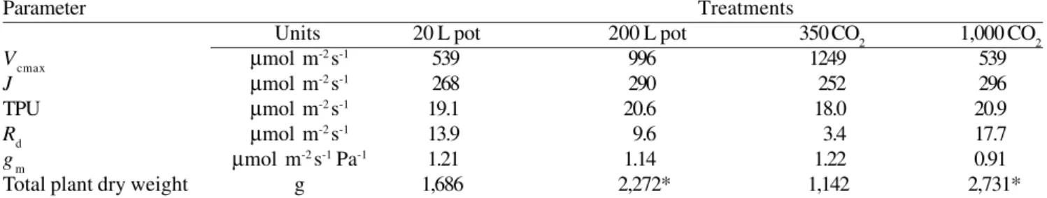 Figure 1. A schematic diagram of the response of banana yield to shade. Line A is the expected response of yield based on the efficiency of growth of well-shaded plants.