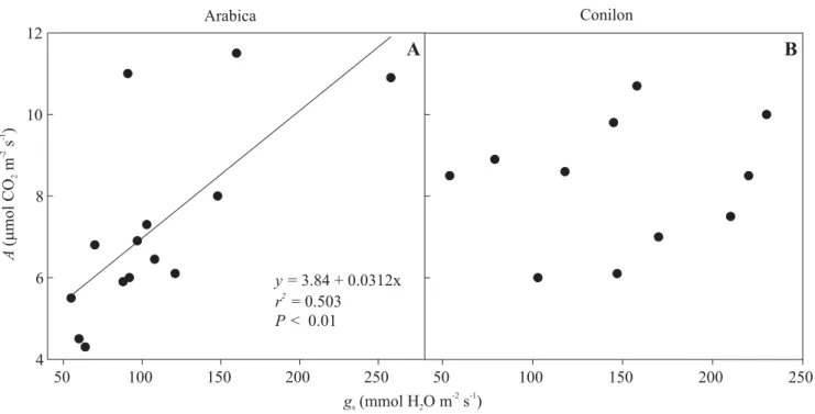 Figure 3. Measured values or values derived from published graphs of leaf gas exchange –net carbon assimilation rate (A) and stomatal conductance (g s )– in arabica (A) and conilon (B) coffee