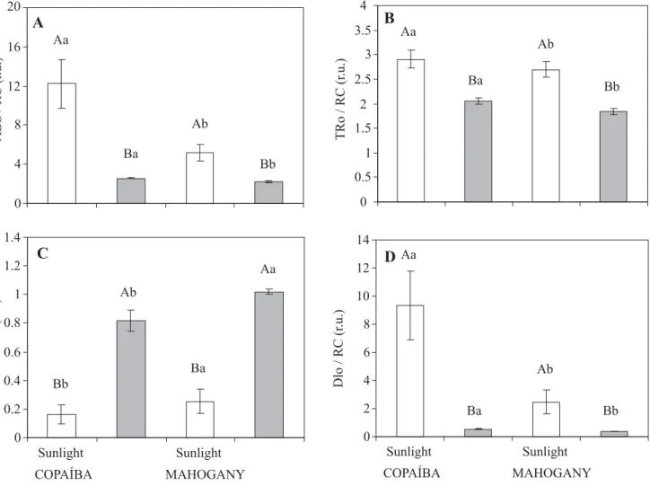 Figure 2. Specific fluxes expressed per reaction center (RC) in copaiba and mahogany under sunlight and shade environments