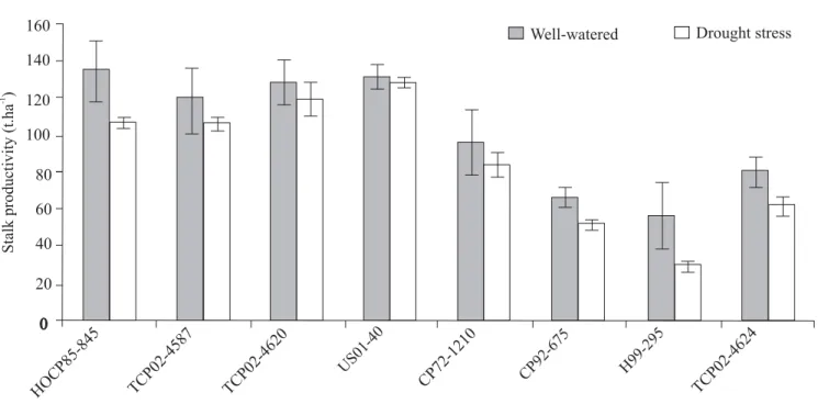 Table 2). Overall, genotypes classified as susceptible generally had higher average LT readings (~37°C) under drought stress conditions than those classified as tolerant (~35°C; Table 3)