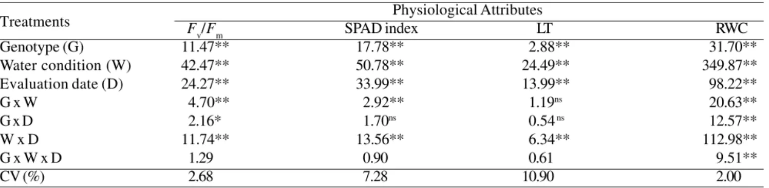 Table 2. Chlorophyll fluorescence (F v /F m ), estimated chlorophyll content (SPAD index), leaf temperature (LT) and leaf relative water content (RWC) of eight sugarcane genotypes grown under well-watered (+W) and drought (-W) conditions.