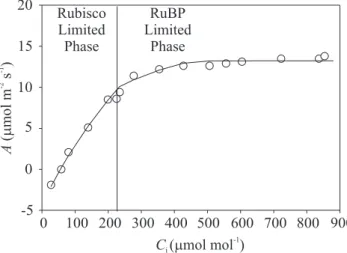 Figure 1. The A/C i  response of Citrus limon at 25°C. The actual rates of photosynthesis that would be achieved depending on whether Rubisco or RuBP are limiting (in this study triose-phosphate utilization was not limiting).