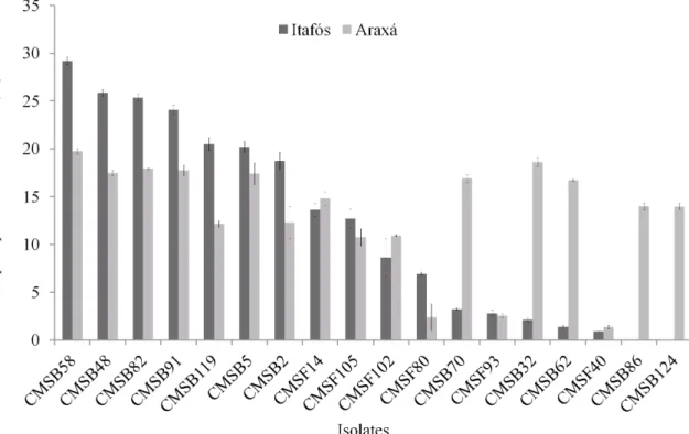 FIGURE 2. Percentage of Araxá and Itafós phosphate solubilization of 18 isolates of fungi and bacteria