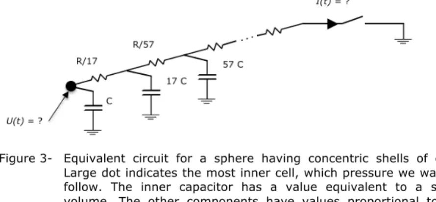 Figure 3-  Equivalent  circuit  for  a  sphere  having  concentric  shells  of  cells