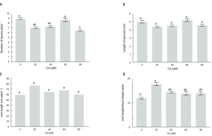 figure 2. Number of leaves (a), length of sprouts (b), length of whole root system (c), root length/sprout length ratio (D) of Pfaffia glomerata plants grown under  increasing concentrations of Cd for 7 d