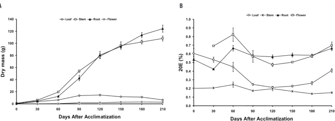 figure  2.  Dry  mass  accumulation  (A)  and  20E  percentage  analysis  (B)  in  different  organs  of  Pfaffia  glomerata  (accession  13)  by  HPLC