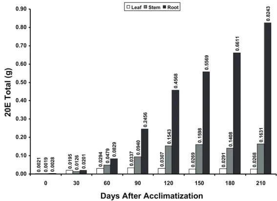 figure 3. Analysis of 20E total quantity in leaf, stem, and root of Pfaffia glomerata (accession 13)