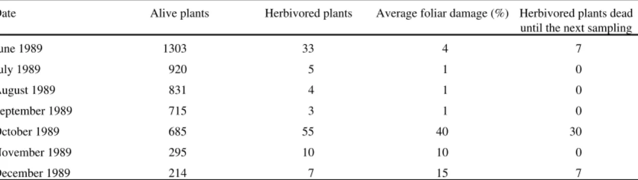 Table 3. Number of plants of Paepalanthus polyanthus herbivored by Acromyrmex striatus (Hymenoptera: Formicidae) in Area 2 (25 m 2 ) throughout 1989.