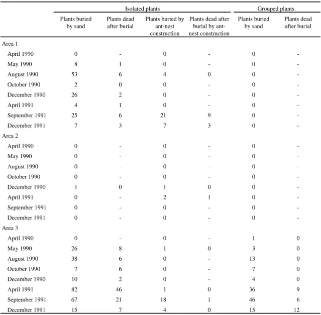 Table 4. Plants of Paepalanthus polyanthus buried by sand throughout 1990 and 1991 in three permanent plots of 25 m 2  in a sand dune slack at Joaquina beach (Florianópolis, SC, Brazil)