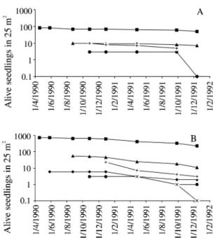 Figure 4. Survivorship curves for cohorts of Paepalanthus polyanthus seedlings emerging in groups in 1990-1991, in sand dune slack, Joaquina beach, Florianópolis, SC, Brazil