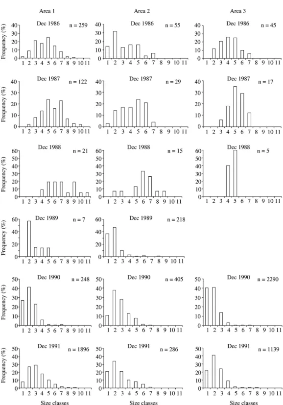 Figure 5. Population structure of Paepalanthus polyanthus in Areas 1, 2 and 3 from December 1986 to December 1991 in three permanent plots of 25 m 2  in a sand dune slack at Joaquina beach, Florianópolis, SC, Brazil